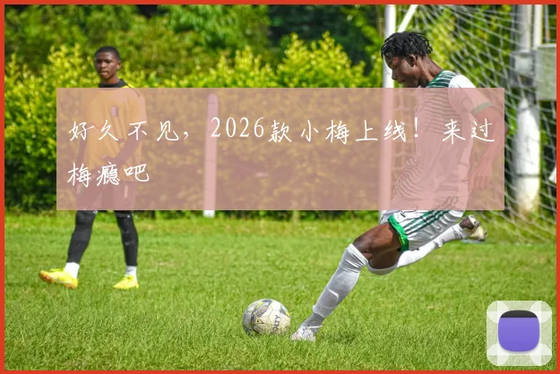 好久不见，2026款小梅上线！来过梅瘾吧